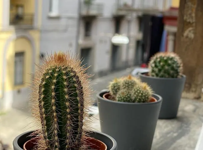 Cupola San Marcellino Apartman